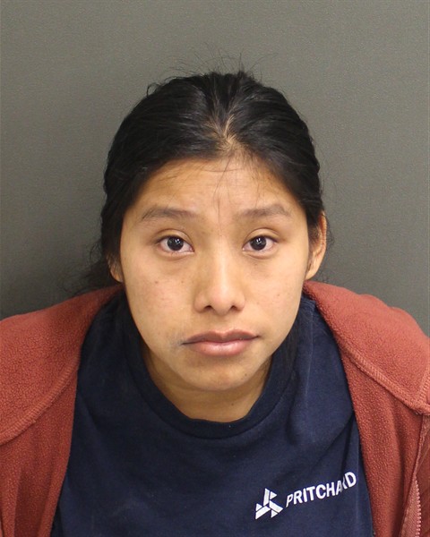  MARLIN MEJIA Mugshot / County Arrests / Orange County Arrests