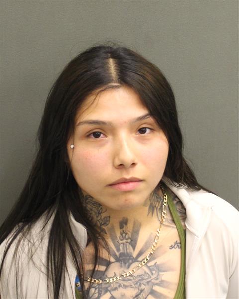  SYDNY HERNANDEZ Mugshot / County Arrests / Orange County Arrests