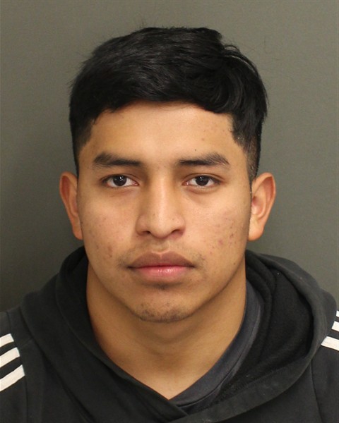  EDWIN GABRIEL DOMINGODOMINGO Mugshot / County Arrests / Orange County Arrests