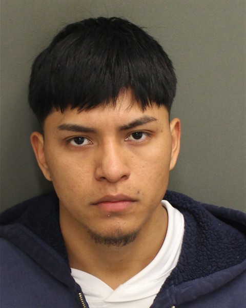  FREDY O DOMINGODOMINGO Mugshot / County Arrests / Orange County Arrests