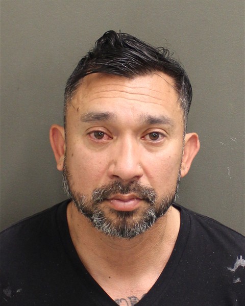  RICARDO JR MIRELES Mugshot / County Arrests / Orange County Arrests