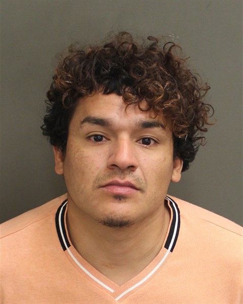  ROBERTO CARLOS BOUGINBARRERA Mugshot / County Arrests / Orange County Arrests