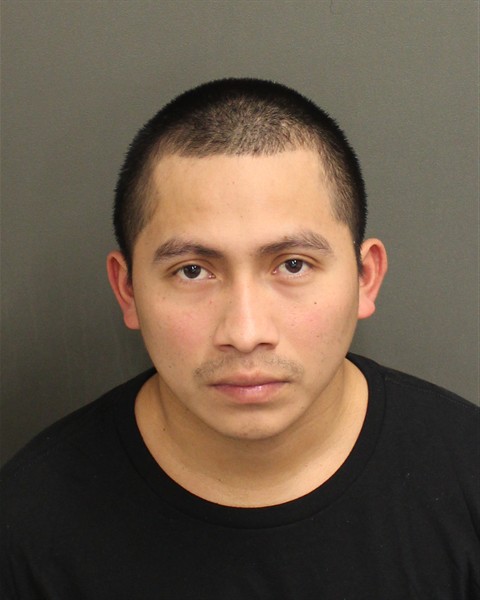  HERALDO ALFREDO RAMIREZRAMIREZ Mugshot / County Arrests / Orange County Arrests