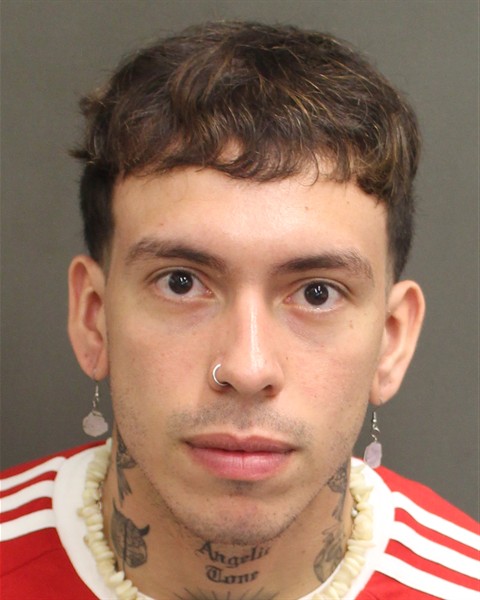  IGOR FERREIRAARAUJO Mugshot / County Arrests / Orange County Arrests