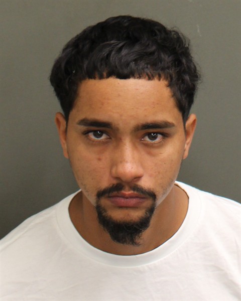  JULIO ENRIQUE RAMOS Mugshot / County Arrests / Orange County Arrests