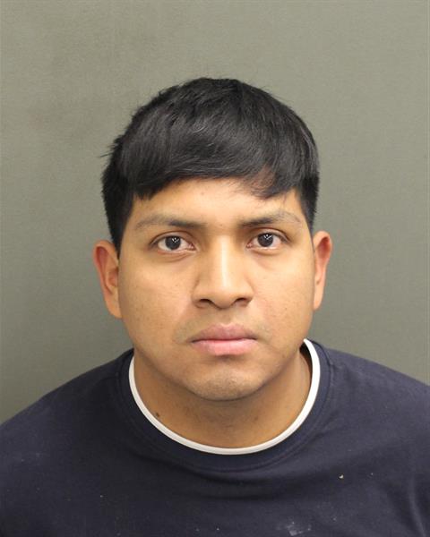  HENRY G ROSALESMEJIA Mugshot / County Arrests / Orange County Arrests