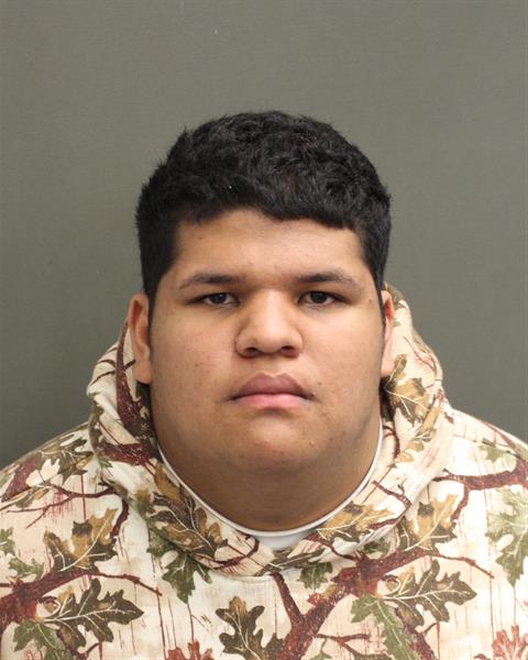  JORGE MAURICIO MEJIASLOPEZ Mugshot / County Arrests / Orange County Arrests