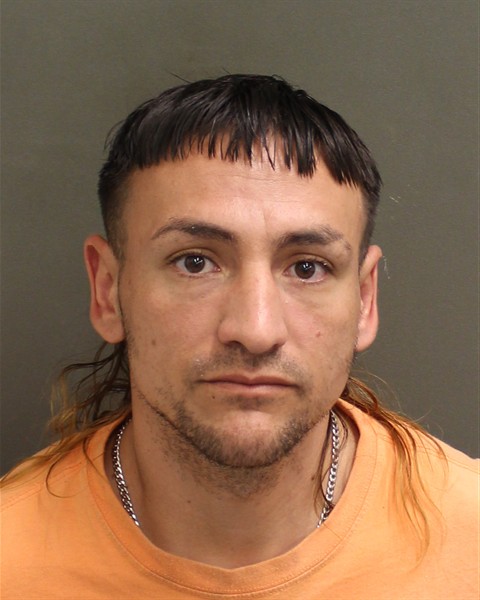  JONATHAN EDWARD HARDY Mugshot / County Arrests / Orange County Arrests