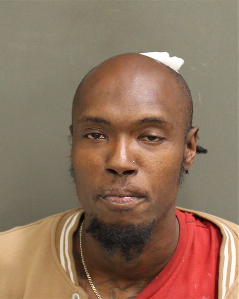  MICHAEL ANGELO FLEURANT Mugshot / County Arrests / Orange County Arrests