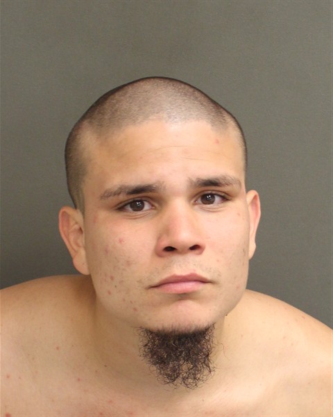  ARMANI WILL ALMESTICA Mugshot / County Arrests / Orange County Arrests