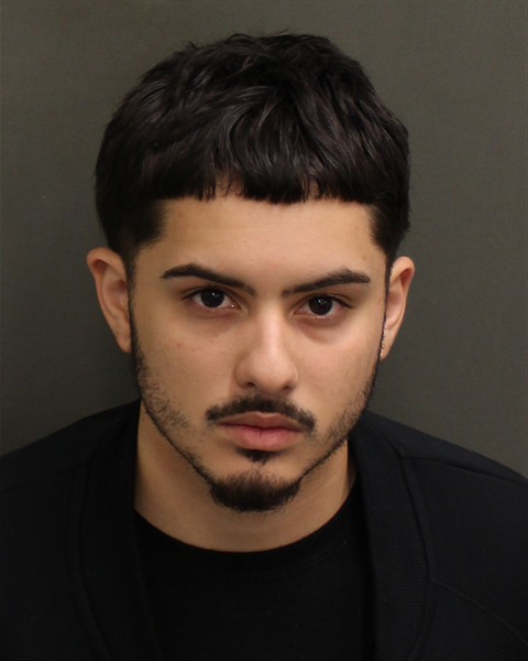 DAMIEN IZAIS MIELES Mugshot / County Arrests / Orange County Arrests