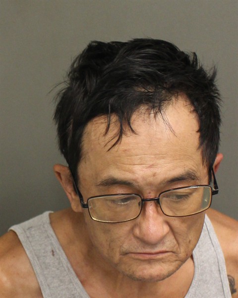  LOUIS RAPIER TURNER Mugshot / County Arrests / Orange County Arrests