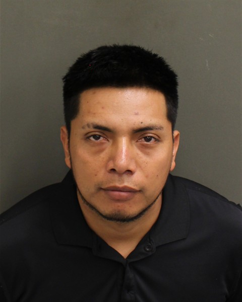  LIDIO HERNANDEZHERNANDEZ Mugshot / County Arrests / Orange County Arrests