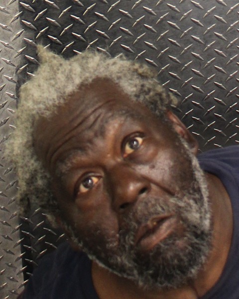  LEONARD CHARLES AKINS Mugshot / County Arrests / Orange County Arrests