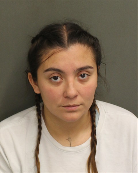  PAOLA ANDREA GIRALDO Mugshot / County Arrests / Orange County Arrests