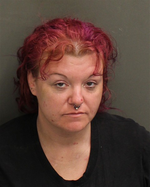  LORI MAE BARTLETT Mugshot / County Arrests / Orange County Arrests