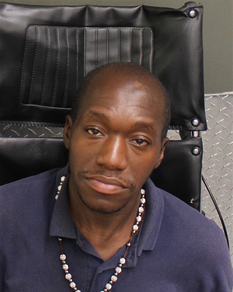  ROBERT HINES Mugshot / County Arrests / Orange County Arrests