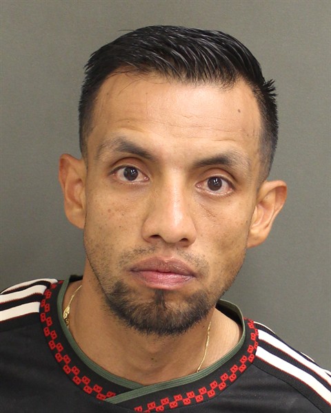  WILSON JAVIER MAYORGAMATEUS Mugshot / County Arrests / Orange County Arrests