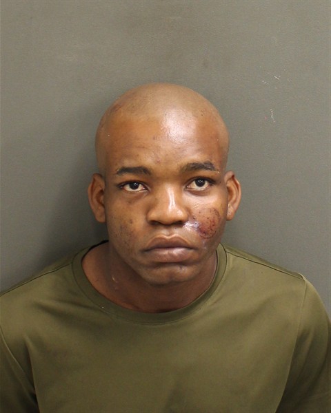  WILDODGE CELESTIN Mugshot / County Arrests / Orange County Arrests