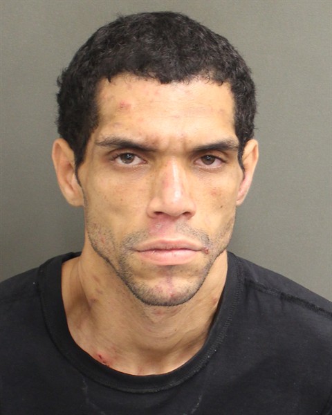  LUIS ANTONIO LOZADA Mugshot / County Arrests / Orange County Arrests