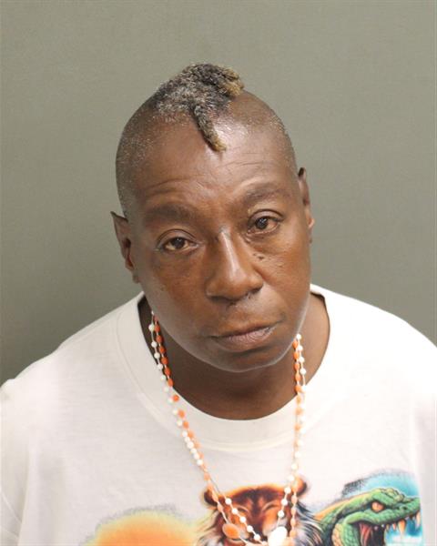  DENISE LENITTE STURGIS Mugshot / County Arrests / Orange County Arrests