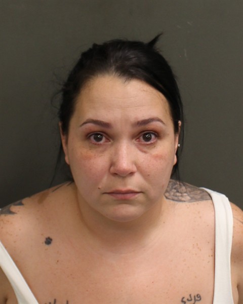  CLARIBEL FORTUNO IRIZARRY Mugshot / County Arrests / Orange County Arrests