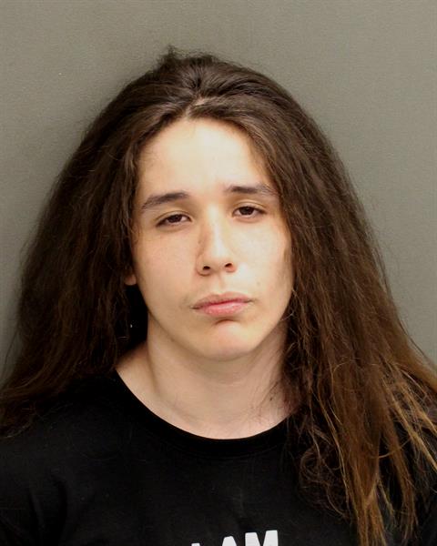  JUAN CARLOS ORTIZ Mugshot / County Arrests / Orange County Arrests