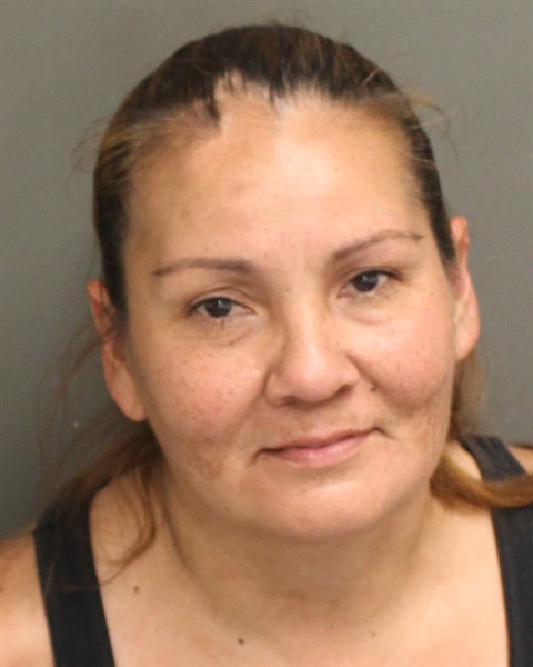  DILCIA IVONNE RODRIGUEZ Mugshot / County Arrests / Orange County Arrests