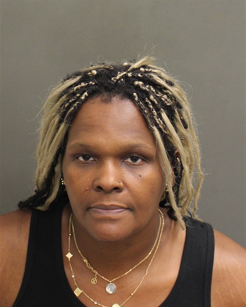  SHERRY LYNN SILER Mugshot / County Arrests / Orange County Arrests
