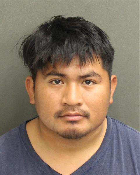  SEBASTIAN MORALESTINO Photo Image