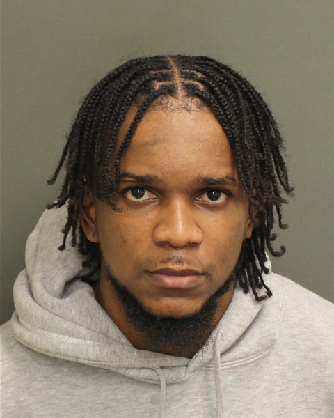  WAYNE ADOLPHUS PILLINER Mugshot / County Arrests / Orange County Arrests