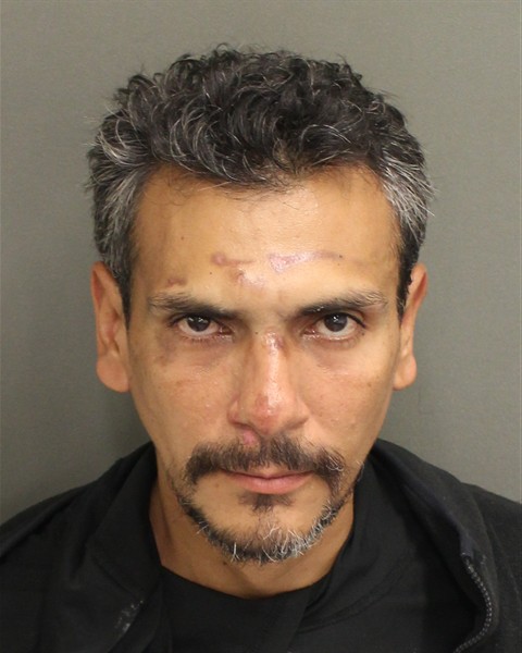  CHRISTIAN CAMILLO VELEZ Mugshot / County Arrests / Orange County Arrests