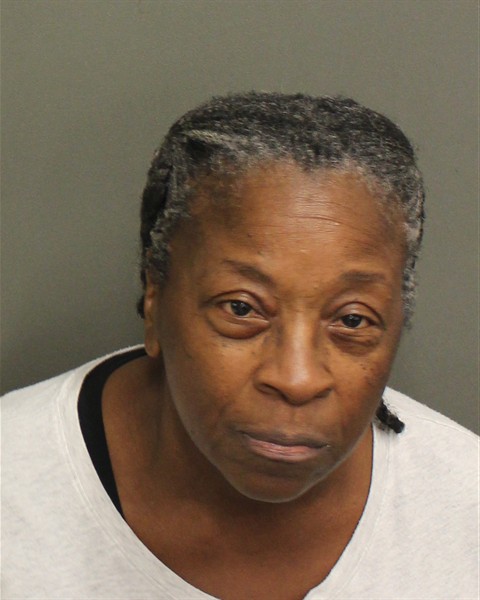  ELIZABETH IRVIN MITCHELL Mugshot / County Arrests / Orange County Arrests