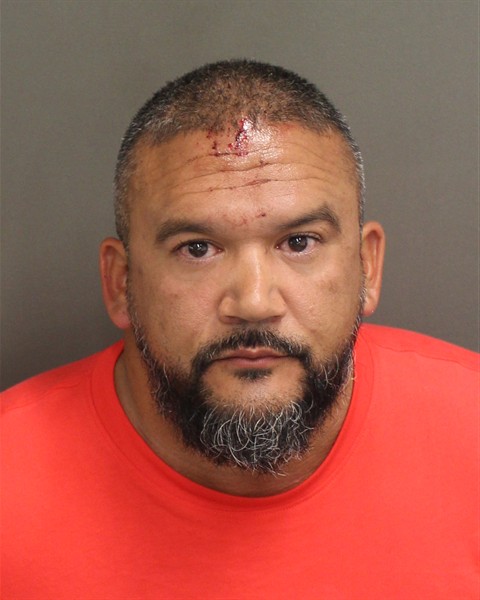  NELSON DELGADO Mugshot / County Arrests / Orange County Arrests