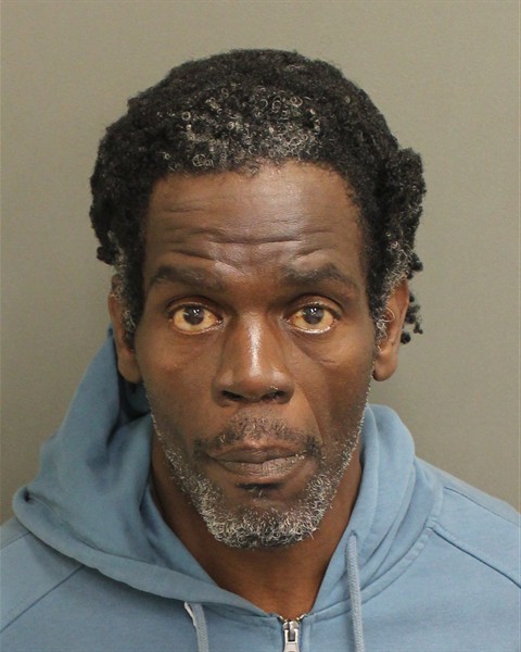  THEODORE ROOSEVELT HAMPTON Mugshot / County Arrests / Orange County Arrests