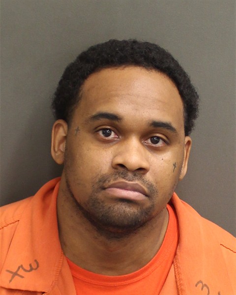  ROGER INGRAM HILL Mugshot / County Arrests / Orange County Arrests