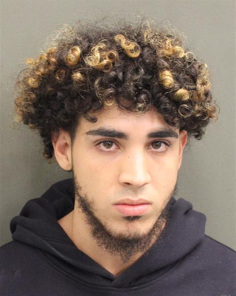  CHRISTIAN ALFREDO GALLORUIZ Mugshot / County Arrests / Orange County Arrests