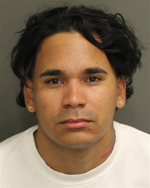  NESTOR LUIS ROJASBLANCO Mugshot / County Arrests / Orange County Arrests