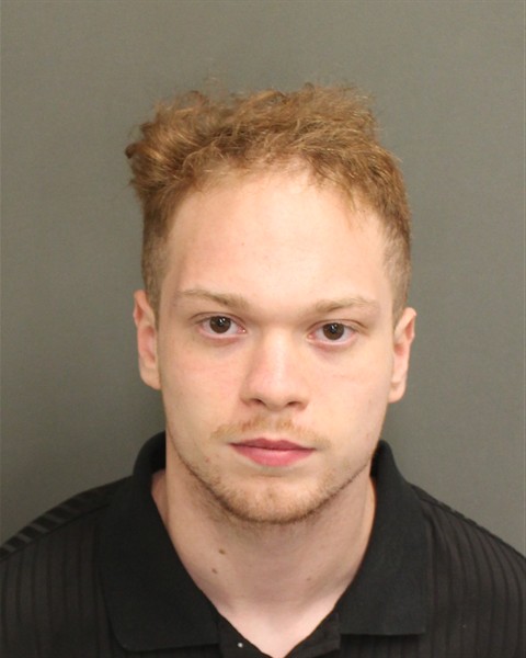  DOMINICK BRADY GENTLE Photo Image