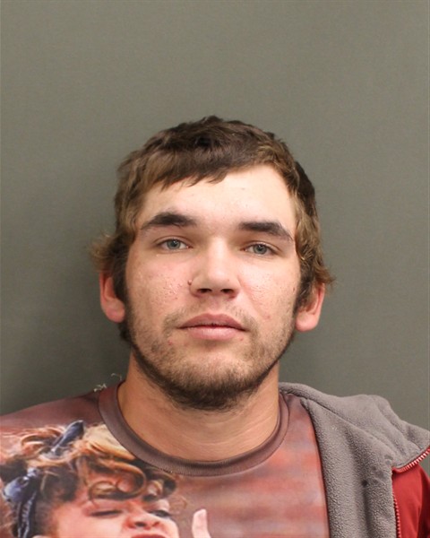  LUCAS COLE PING Mugshot / County Arrests / Orange County Arrests