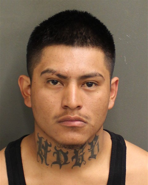  LUIS ALBERTO HERNANDEZRAMIREZ Mugshot / County Arrests / Orange County Arrests