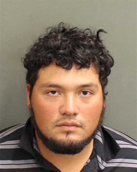  ALVARO GUSTAVO ALVARADODELEON Mugshot / County Arrests / Orange County Arrests