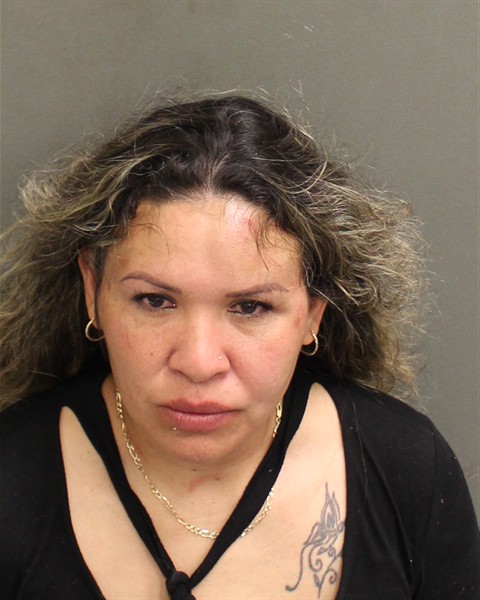  NINSI BANESA GALINDOHERNANDEZ Mugshot / County Arrests / Orange County Arrests