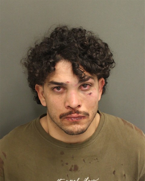  JUAN JOSE ALLENCHIROLDES Mugshot / County Arrests / Orange County Arrests