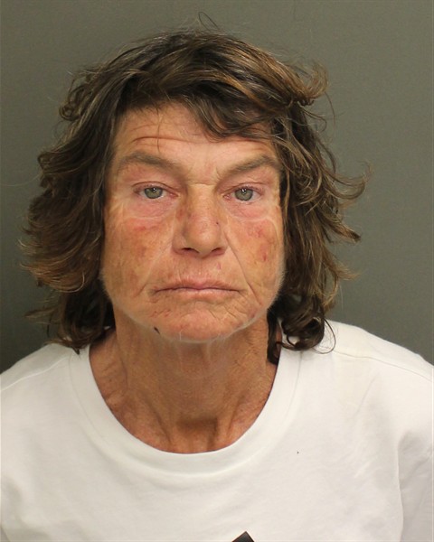  LESLIE PAIGE WILLIAMS Mugshot / County Arrests / Orange County Arrests