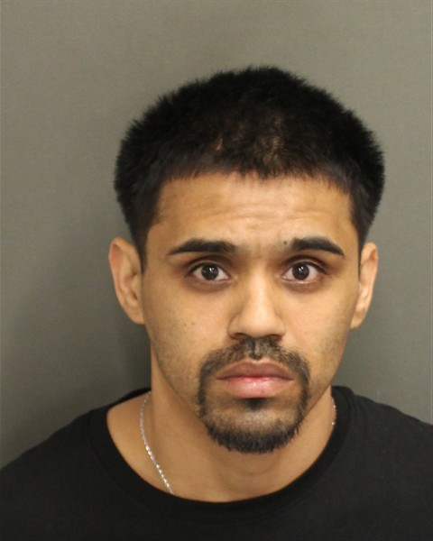  EFREN ADDONIZ GARNICADELARA Mugshot / County Arrests / Orange County Arrests
