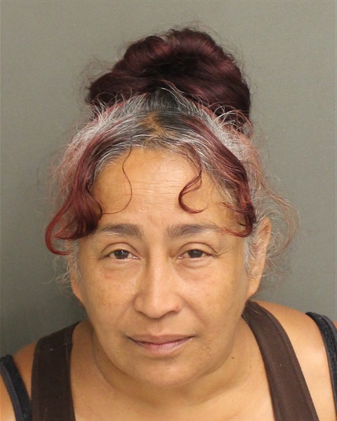  LISANDRA ESTRADA Mugshot / County Arrests / Orange County Arrests