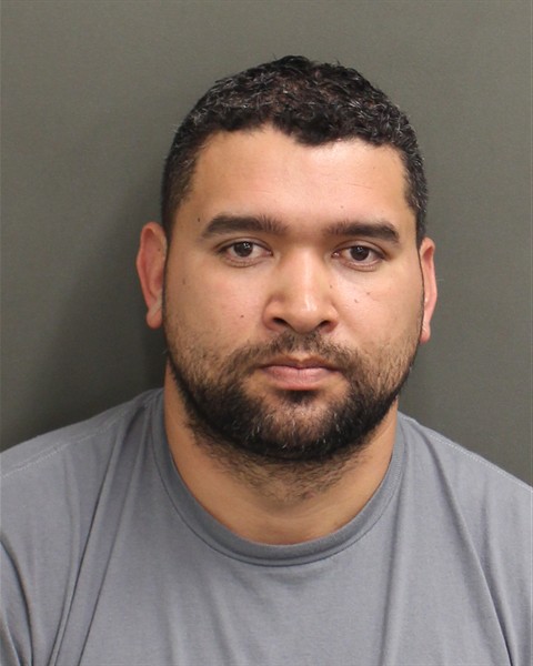  DANILO EDGARDO RAPALOORTIZ Mugshot / County Arrests / Orange County Arrests