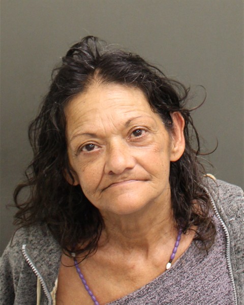  CLOTILDE ARIAS Mugshot / County Arrests / Orange County Arrests