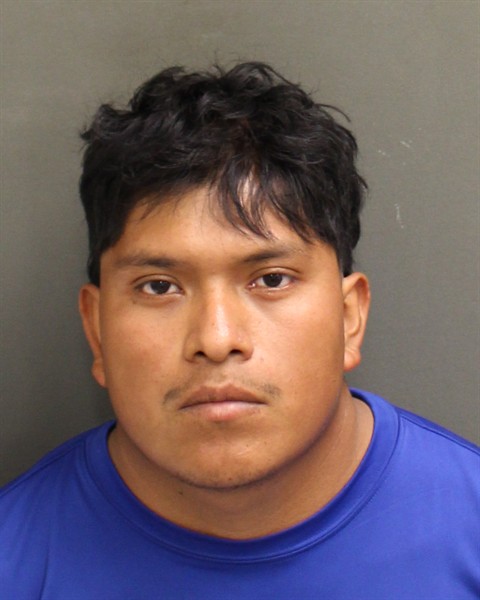  ELMER ALEXANDER DOMINGOVASQUEZ Photo Image